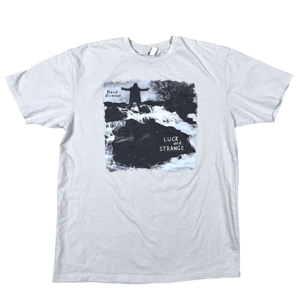Pink Floyd T-Shirt Mens L Gray David Gilmour Luck and Strange Graphic Rock